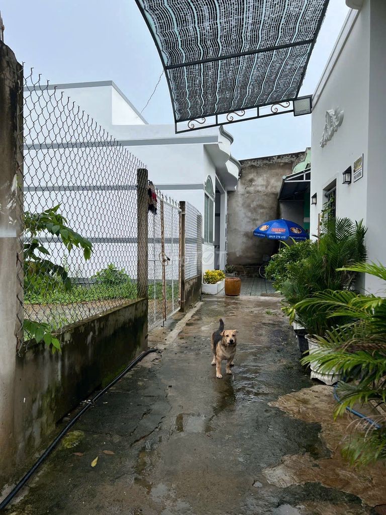 BÁN LÔ ĐẤT NỞ HẬU ĐẸP – HẺM CÔNG CHỨNG NGỌC HÂN (VÀO 200M) - Ảnh 3
