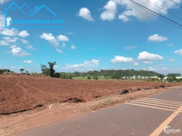 BÁN 1.368M² ĐẤT – NGANG 13M, DÀI 106M TẠI LA NGÀ - Ảnh 1
