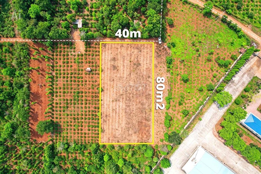 3,2 sào sát bên KCN Tân An hẻm cấp 1 Vành Đai chỉ 4 tỷ Quỳnh Anh - Ảnh 1