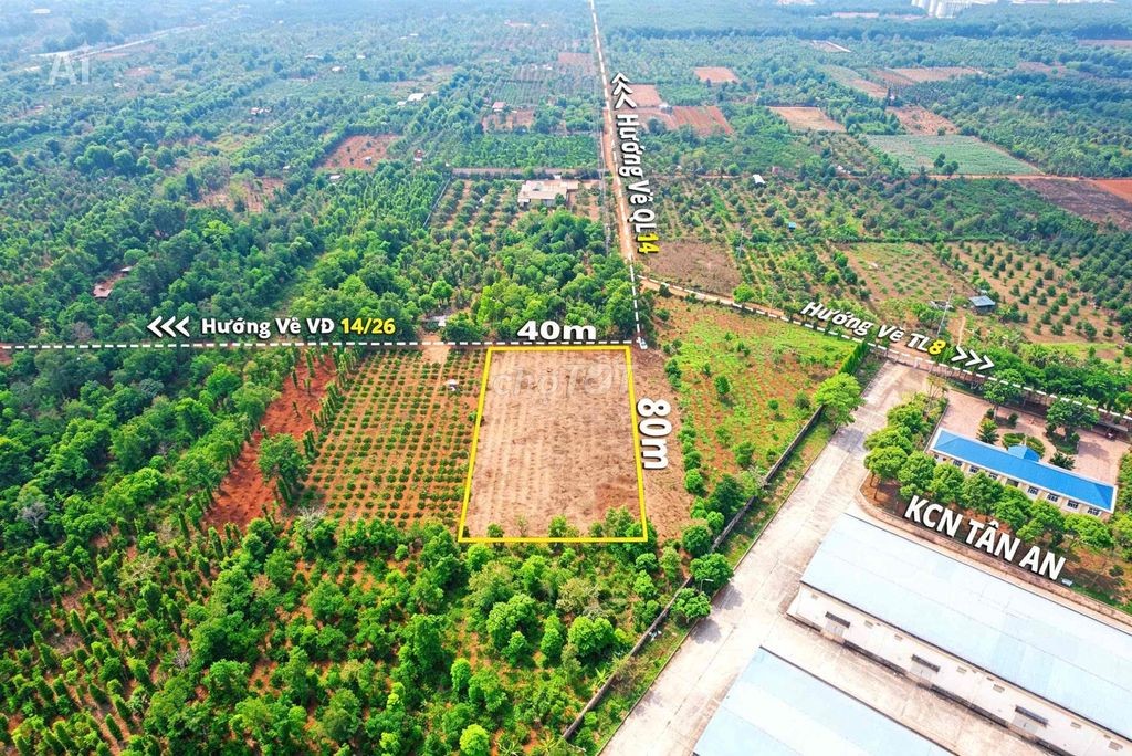 3,2 sào sát bên KCN Tân An hẻm cấp 1 Vành Đai chỉ 4 tỷ Quỳnh Anh - Ảnh 2