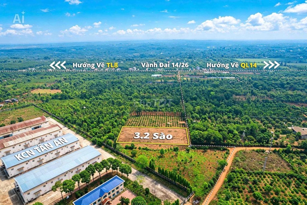 3,2 sào sát bên KCN Tân An hẻm cấp 1 Vành Đai chỉ 4 tỷ Quỳnh Anh - Ảnh 4