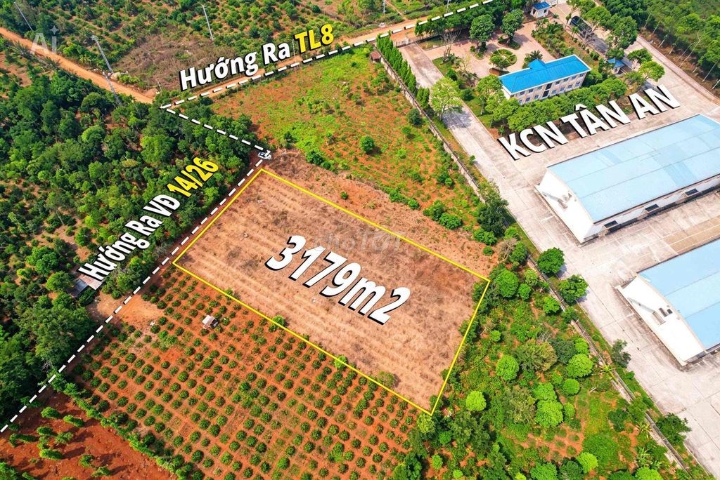 3,2 sào sát bên KCN Tân An hẻm cấp 1 Vành Đai chỉ 4 tỷ Quỳnh Anh - Ảnh 5