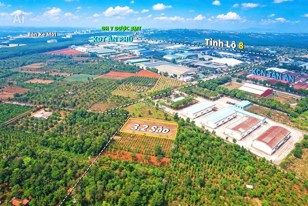 3,2 sào sát bên KCN Tân An hẻm cấp 1 Vành Đai chỉ 4 tỷ Quỳnh Anh - Ảnh 6