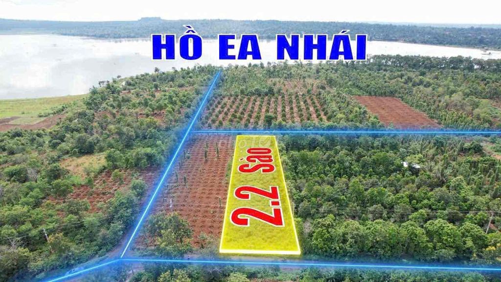 2,1 sào mặt tiền đường nhựa Vành Đai km18 nối tuyến QL14-QL26 1,3 tỷ/s - Ảnh 6