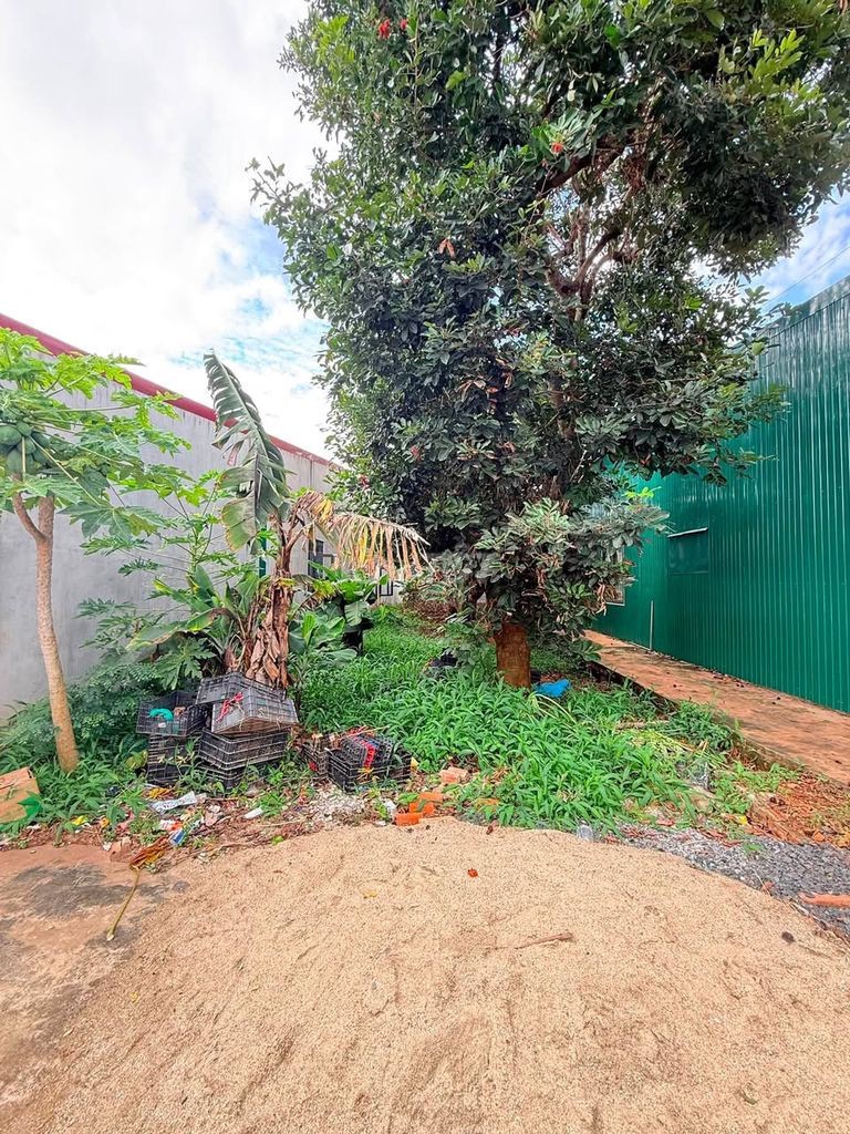 Đất TC mặt tiền KD Trần Quý Cáp ngay khúc cua Mai Thị Lựu 6x25m 5,2 tỷ - Ảnh 1