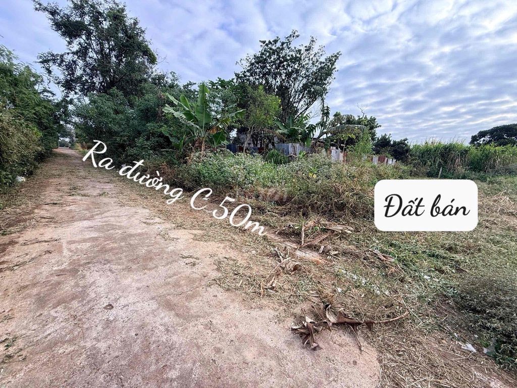 BÁN ĐẤT HẺM ĐƯỜNG C THÔN 3 CƯEBUR - Ảnh 4