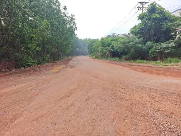 BÁN LÔ ĐẤT HƠN 1000M2 THUỘC TÂN AN _VĨNH CỬU ĐN 👉 Giá đầu tư chỉ 1tỉ100 tr