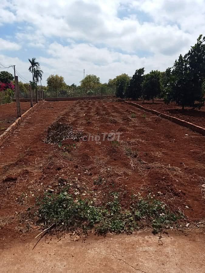 Cần bán đất thổ cư krong pak phước an