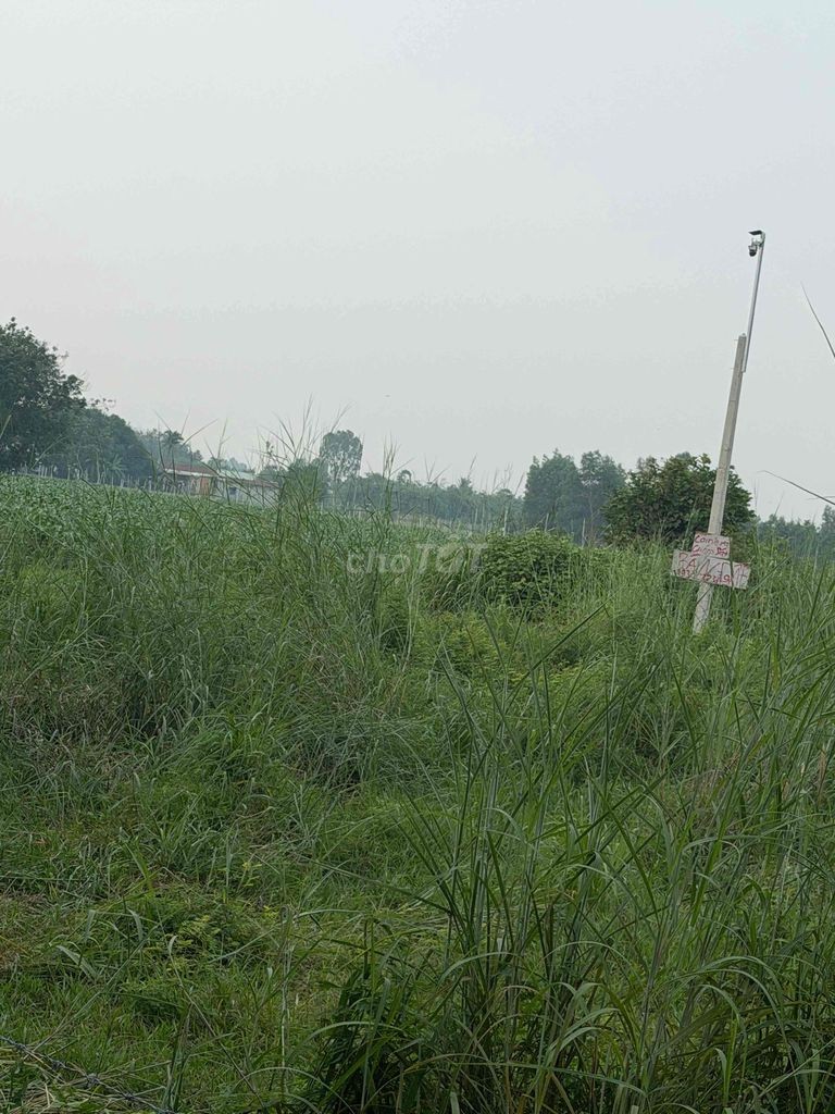 Bán Đất Giá Ngộp Giá Rẽ - Ảnh 6