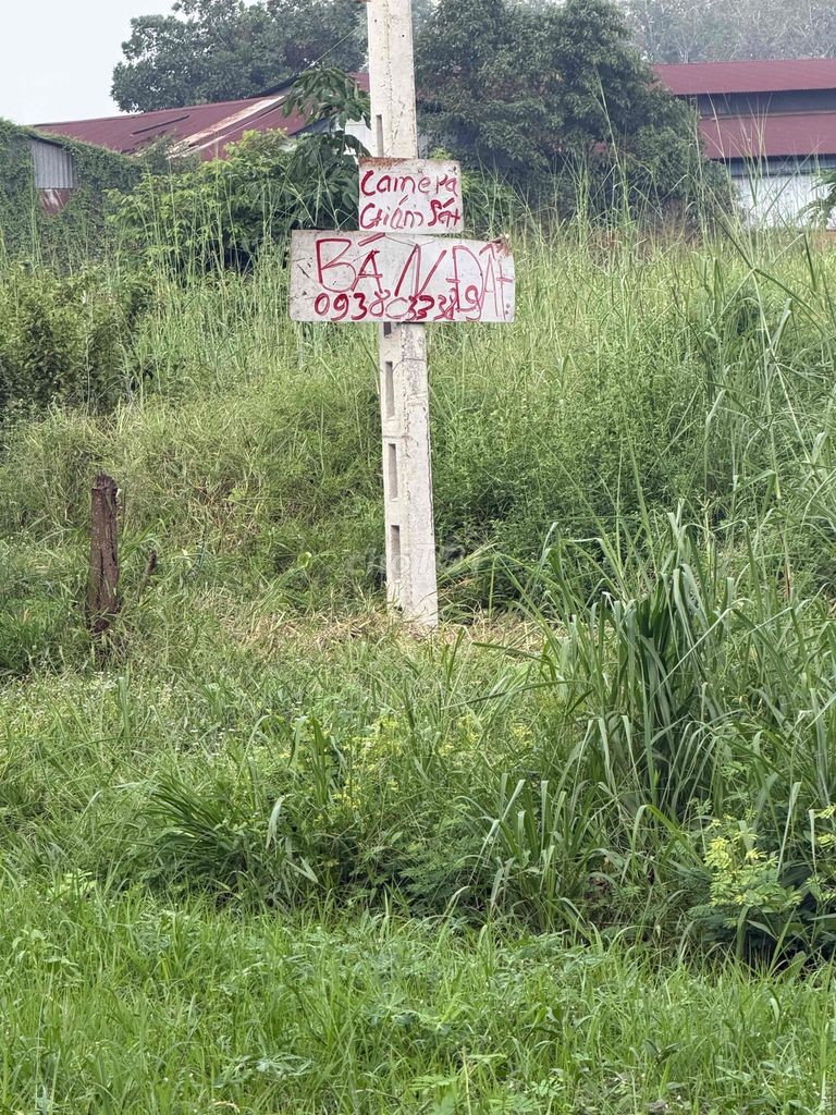 Bán Đất Giá Ngộp Giá Rẽ - Ảnh 8