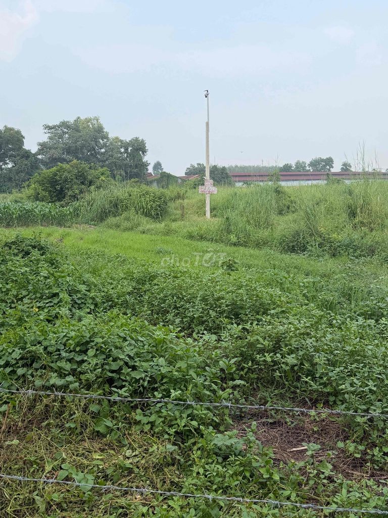 Bán Đất Giá Ngộp Giá Rẽ - Ảnh 9