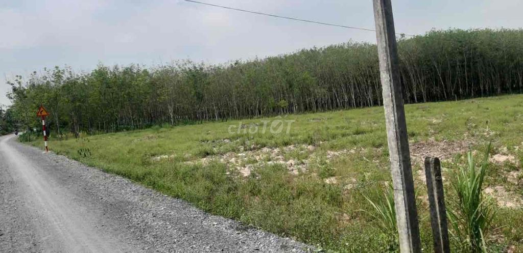 Bán đất chính chủ - Ảnh 2