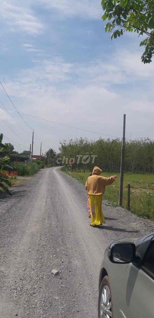 Bán đất chính chủ - Ảnh 5