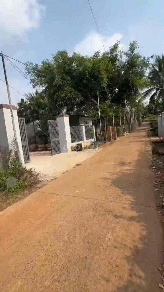 cách trường Hoàng Việt 3 km - Ảnh 3