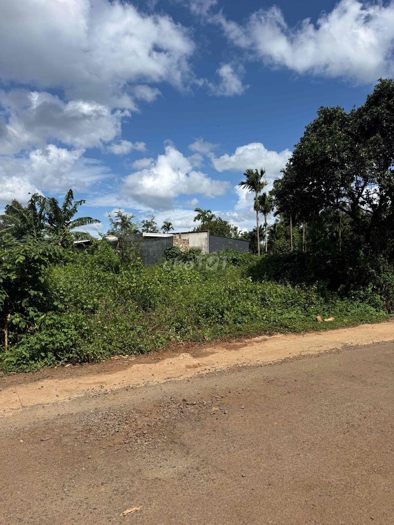 mặt tiền mậu thân - Ảnh 2