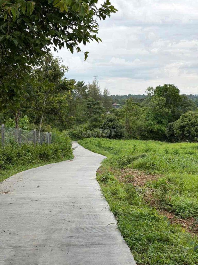385 TRIỆU – SỞ HỮU NGAY LÔ ĐẤT 10x53M TẠI THÀNH NHẤT - Ảnh 1