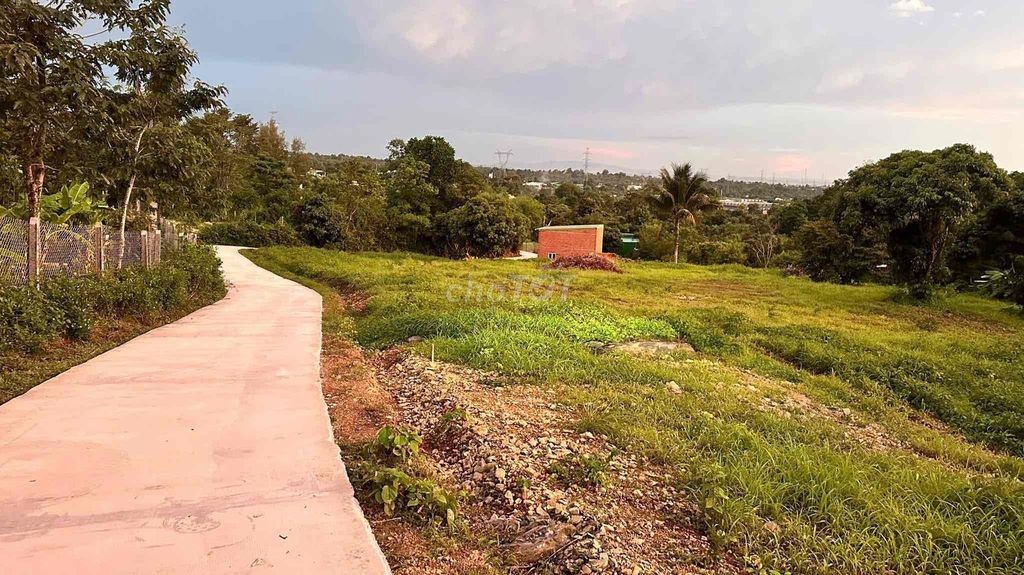 385 TRIỆU – SỞ HỮU NGAY LÔ ĐẤT 10x53M TẠI THÀNH NHẤT - Ảnh 4