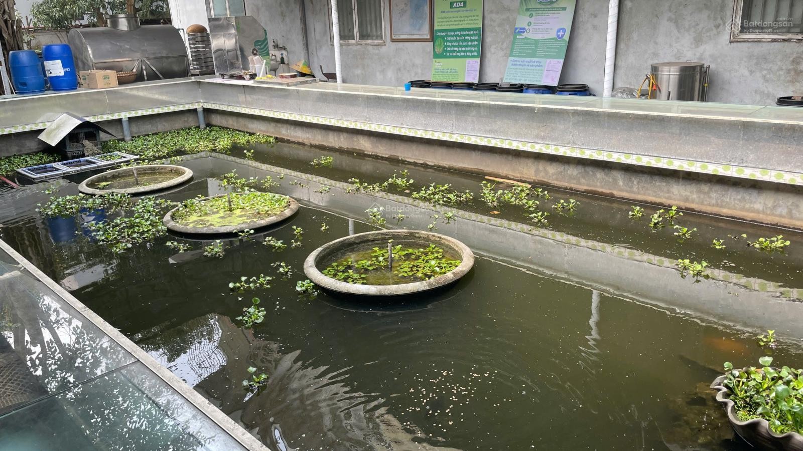 Đất vuông vắn trong lõi KCN Tây Bắc Ga chủ thiện chí bán gấp - Đất sản xuất 3168m² - Ảnh 2
