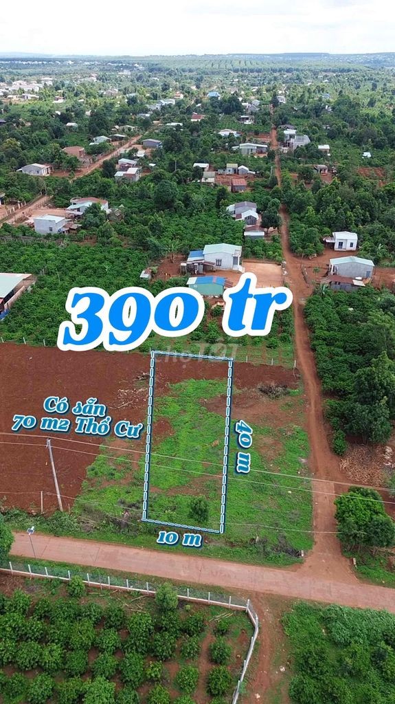 rẻ 10m x 40m có thổ cư, đường bê tông - Ảnh 2