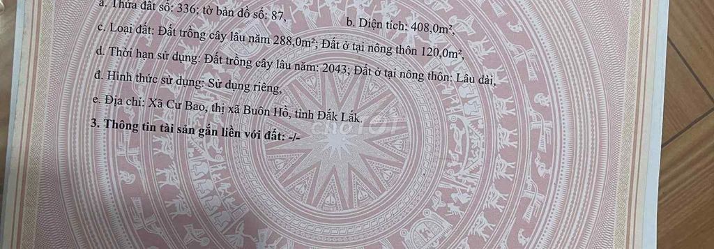 Chính chủ bán 408m² TC 120, sẵn sầu riêng cây ăn quả, Cư Bao, Buôn Hồ - Ảnh 6