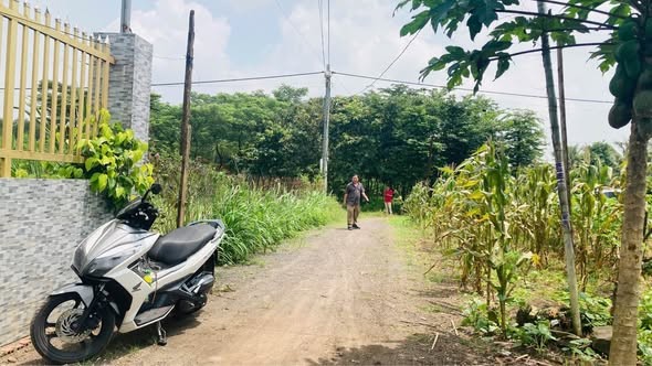 📛 BÁN ĐẤT 1.500M2 P. PHƯỚC TÂN GẦN ĐƯỜNG VÕ CHÍ CÔNG - Ảnh 3