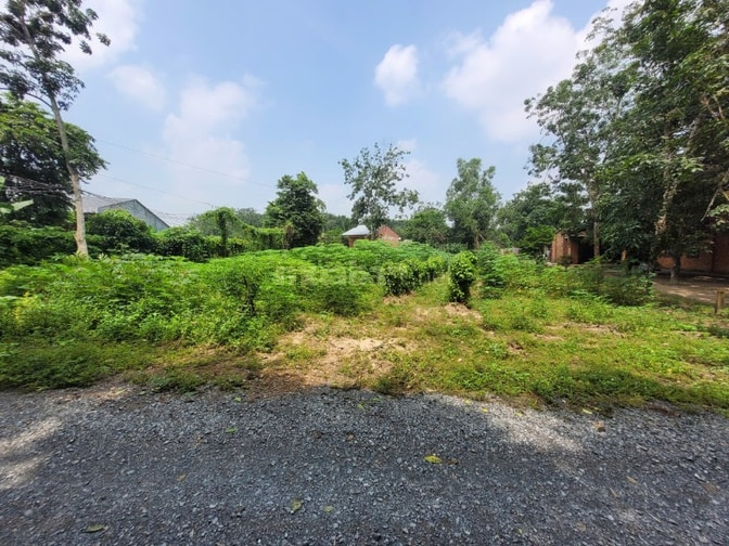 952m2 có thổ ngay cầu Thanh An, cảng Hưng Thuận. 2,1 tỷ - Ảnh 3