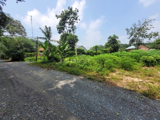 952m2 có thổ ngay cầu Thanh An, cảng Hưng Thuận. 2,1 tỷ - Ảnh 4