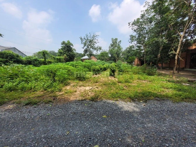 952m2 có thổ ngay cầu Thanh An, cảng Hưng Thuận. 2,1 tỷ - Ảnh 5