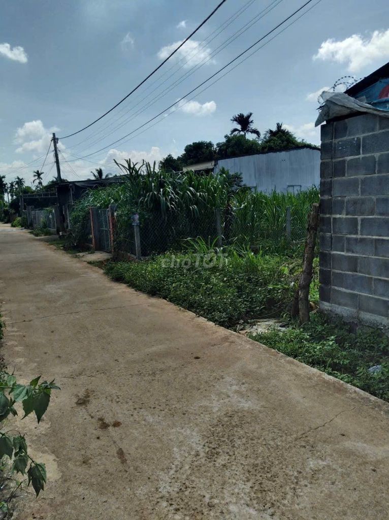 CHÍNH CHỦ CẦN BÁN ĐẤT NGAY SAU CHỢ ĐẠT LÝ - ĐƯỜNG THÔNG ĐẾN CHỢ EATU - Ảnh 2