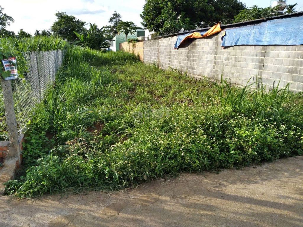 CHÍNH CHỦ CẦN BÁN ĐẤT NGAY SAU CHỢ ĐẠT LÝ - ĐƯỜNG THÔNG ĐẾN CHỢ EATU - Ảnh 4