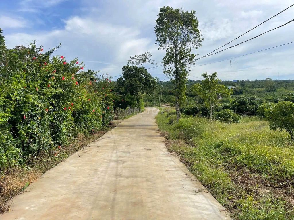 Đất đẹp Xuân Phú, Ea Kar, Đắk Lắk - 200m2 full thổ cư - Giá 189 triệu - Ảnh 1