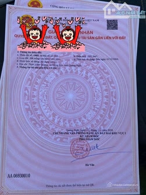 Bán đất nông, lâm nghiệp: Bán đất ở bình Phú, bình sơn, quảng Ngãi - Ảnh 1