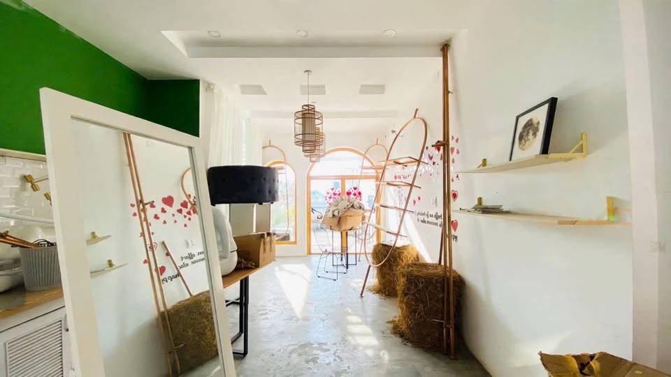 Cho thuê nhà nguyên căn mặt tiền D9 – khu D2D Võ Thị Sáu - Ảnh 3