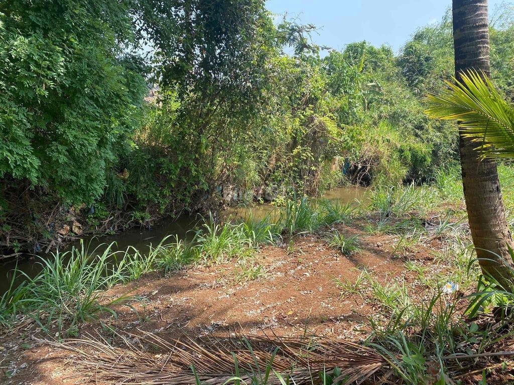 ĐẤT VIEW SUỐI PHƯỜNG EAKAO HỖ TRỢ VAY 3 BÊN - Ảnh 3