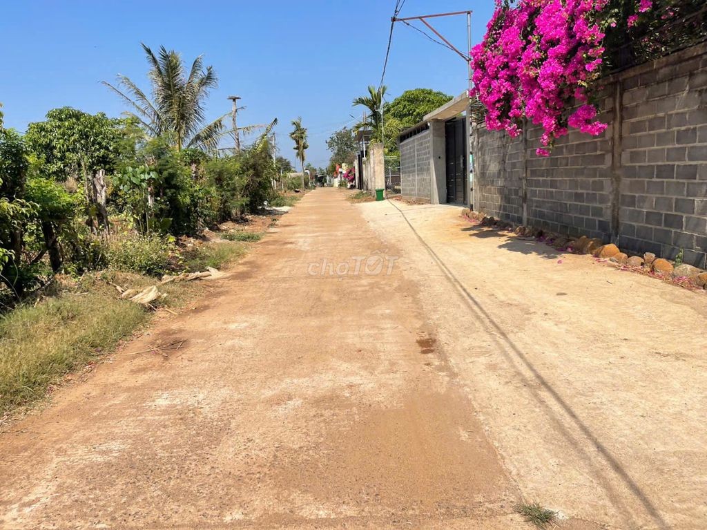 💥Đất TC 120m2 10*48m,1t650tr hẻm VÕ VĂN KIỆT nối dài, gần chợ Đoàn Kết - Ảnh 2