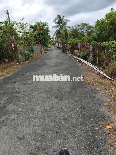 Chính chủ bán 3.000m2 đất Tân Hội - Ảnh 2