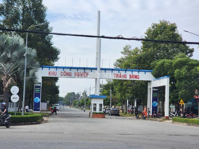 Bán gấp 79,6m2 Thổ cư, An Tịnh, Cạnh KCN Trảng Bàng , Chỉ 645 triệu - Ảnh 3