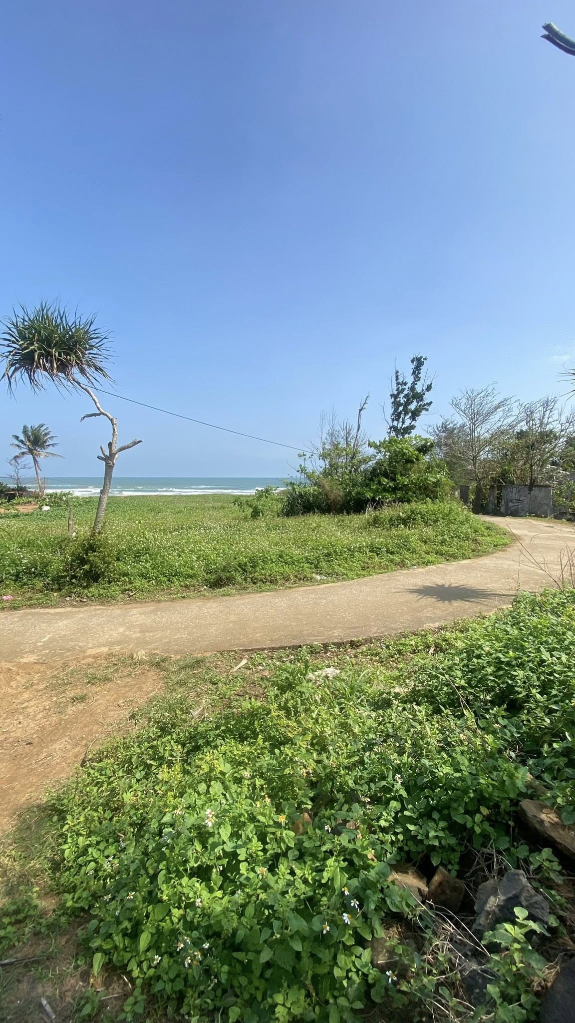chính chủ bán đất view biển thanh thuỷ huyện bình sơn quảng ngãi 1.800m2 - Ảnh 3