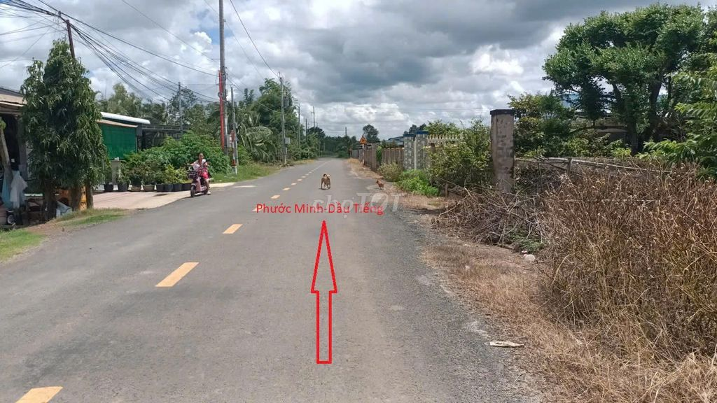 Đất chính chủ cần bán 16m mặt tiền nhựa lớn DH9.
