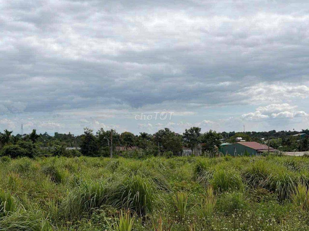 500m2 hẻm vành đai đường 10/3 - Ảnh 4
