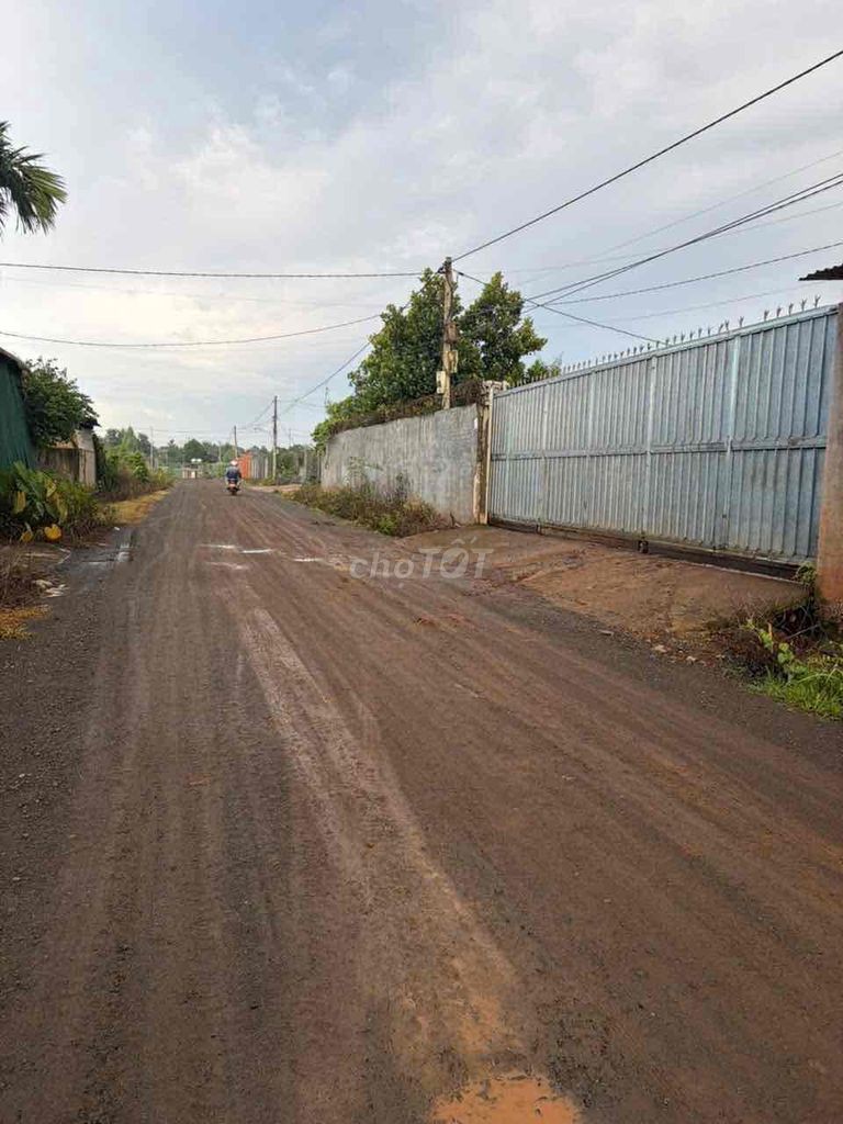 500m2 hẻm vành đai đường 10/3 - Ảnh 5