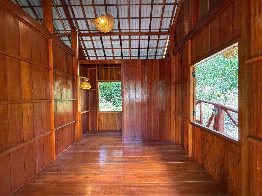 CHO THUÊ 3 NHÀ SÂN VƯỜN NGHỈ DƯỠNG BIỆT LẬP 2000m2 - Ảnh 2