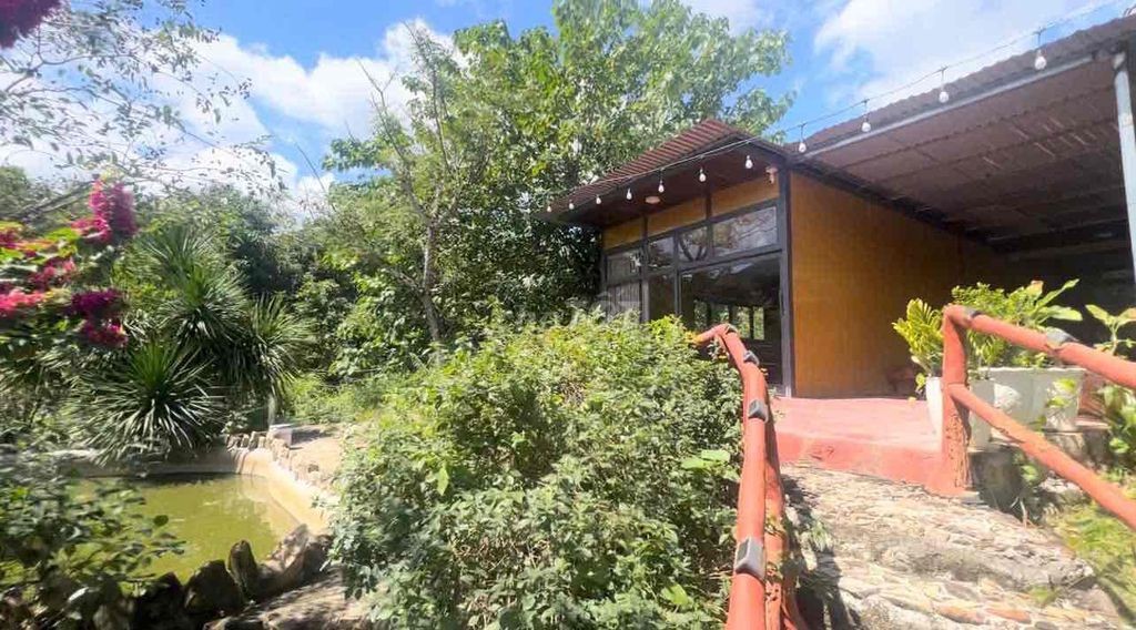 CHO THUÊ 3 NHÀ SÂN VƯỜN NGHỈ DƯỠNG BIỆT LẬP 2000m2 - Ảnh 5