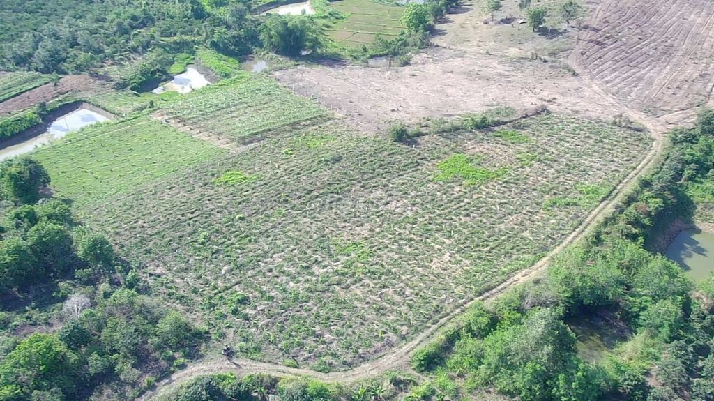 🌳 🌳 7 sào đất tại huyện Ea Kar, tỉnh Daklak 🌳 🌳 - Ảnh 2