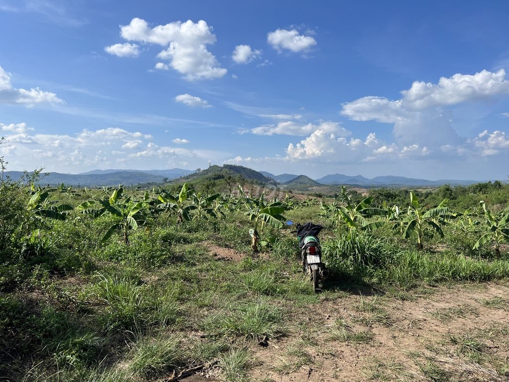 🌳 🌳 7 sào đất tại huyện Ea Kar, tỉnh Daklak 🌳 🌳 - Ảnh 4
