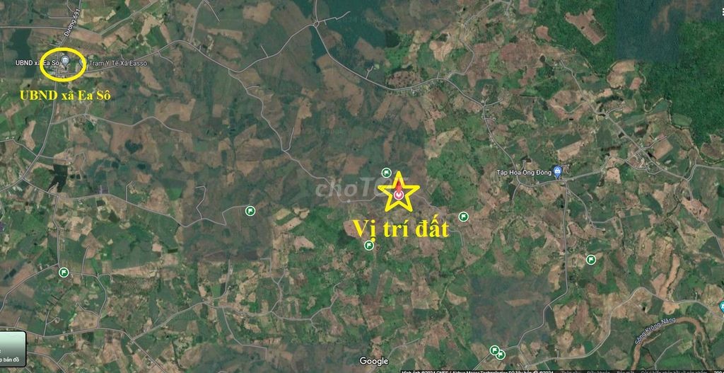 🌳 🌳 7.281 m2 đất trồng mía tại Daklak 🌳 🌳 - Ảnh 4