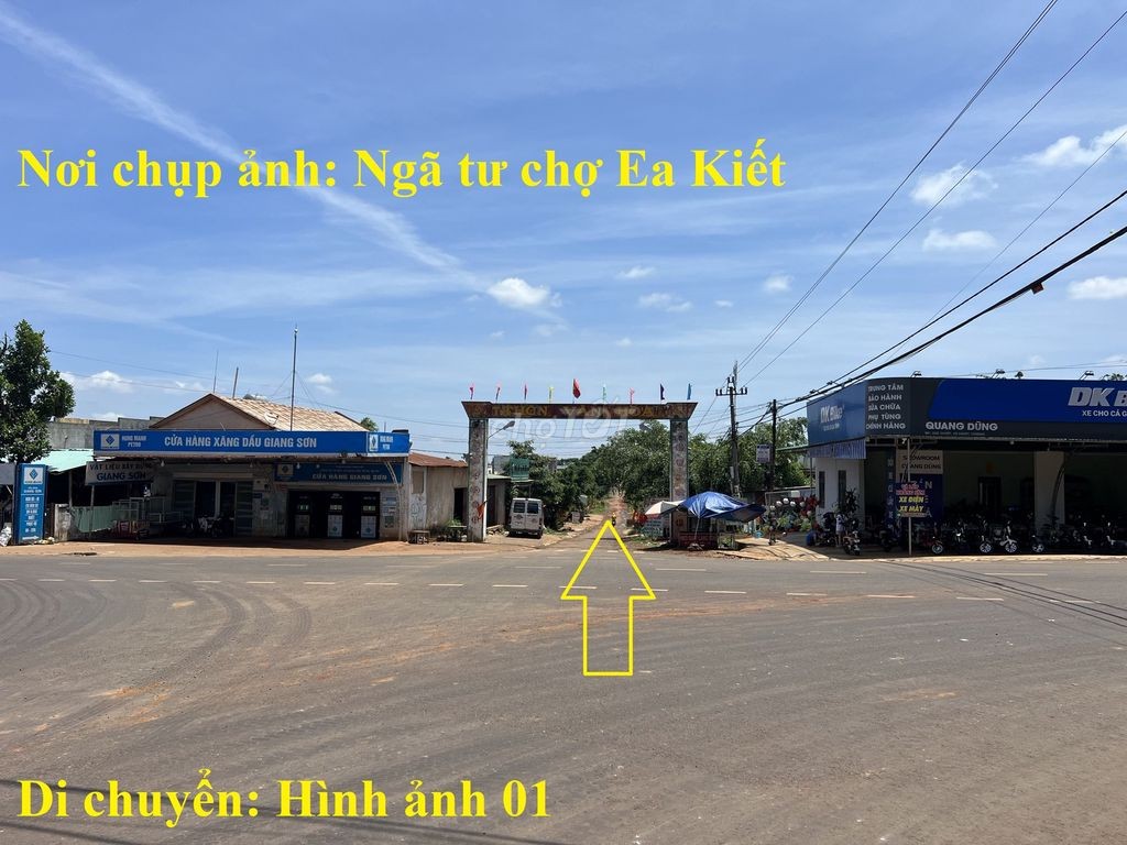 🌳 🌳 8 sào gỗ tếch tại Daklak 🌳 🌳 - Ảnh 8