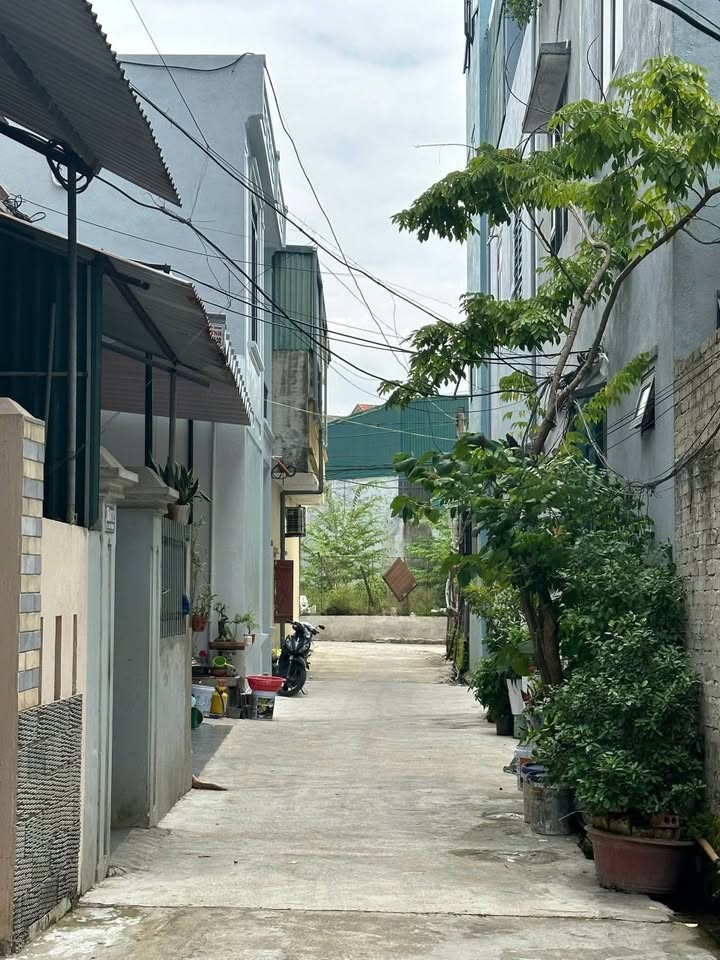 🌟 CHƠI CỰC LỚN: BÁN ĐẤT TẶNG NHÀ MẶT ĐẤT TRUNG TÂM FULL ĐỒ – Ô TÔ VÀO TẬN NHÀ – FULL NỘI THẤT CÓ DÒNG TIỀN CHO THUÊ HÀNG THÁNG – GIÁ MỀM. 🌟 - Ảnh 2