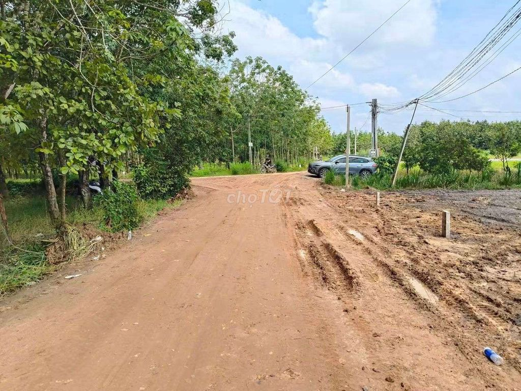 đất 129tr dt 5x40m thổ cư 60m2 ấp đồng dài xã Thạnh Bình, Tây Ninh - Ảnh 3
