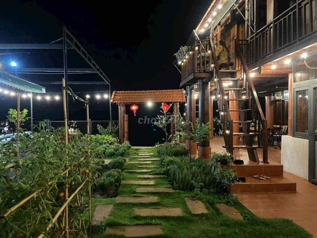 Homestay view đồi hoàng hôn cuối Nguyễn Hữu Thấu 17x20m giá 7,9 tỷ - Ảnh 3